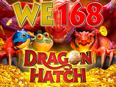Dragon Hatch